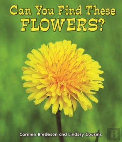 Bertrand.pt - Can You Find These Flowers?