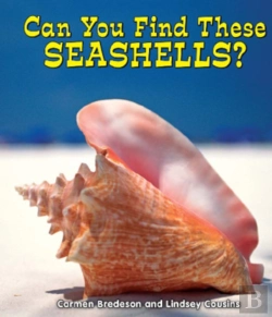 Bertrand.pt - Can You Find These Seashells?