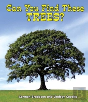 Can You Find These Trees?