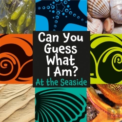 Bertrand.pt - Can You Guess What I Am?: At The Seaside