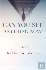 Can You See Anything Now?