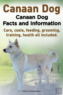 Bertrand.pt - Canaan Dog. Canaan Dog Facts And Information. Canaan Dog Care, Costs, Feeding, Grooming, Training, Health All Included.