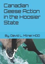 Canadian Geese Action In The Hoosier State