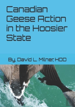 Bertrand.pt - Canadian Geese Action In The Hoosier State