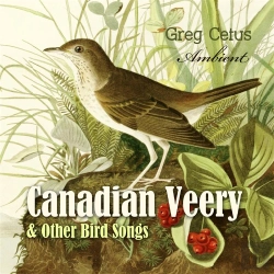 Bertrand.pt - Canadian Veery And Other Bird Songs