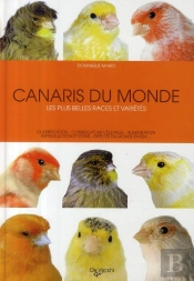Canaris Du Monde ; Les Plus Belles Races Et Variétés