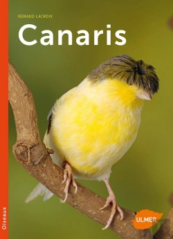 Bertrand.pt - Canaris