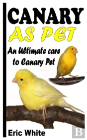 Canary As Pet
