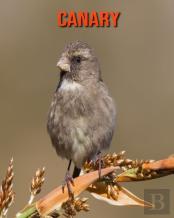 Canary