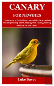 Canary For Newbies