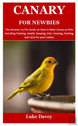 Bertrand.pt - Canary For Newbies