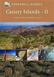 Canary Islands Ii