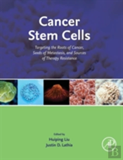 Bertrand.pt - Cancer Stem Cells