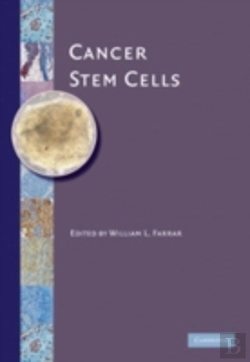 Bertrand.pt - Cancer Stem Cells