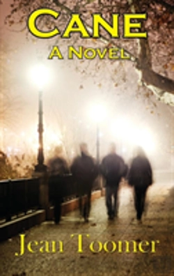 Bertrand.pt - Cane A Novel