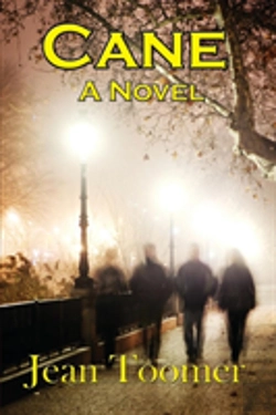 Bertrand.pt - Cane A Novel