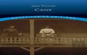 Cane