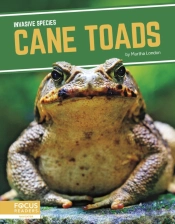 Cane Toads