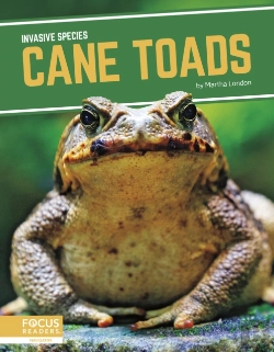 Bertrand.pt - Cane Toads