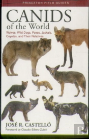 Canids Of The World