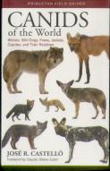 Canids Of The World