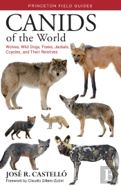 Canids Of The World