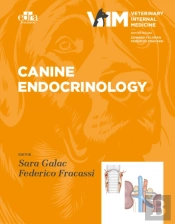 Canine Endocrinology