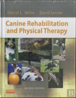 Bertrand.pt - Canine Rehabilitation And Physical Therapy