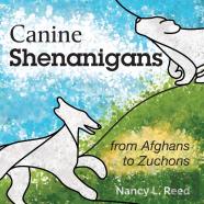 Canine Shenanigans