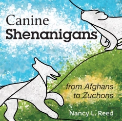 Bertrand.pt - Canine Shenanigans
