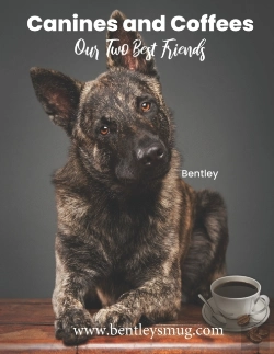Bertrand.pt - Canines And Coffee