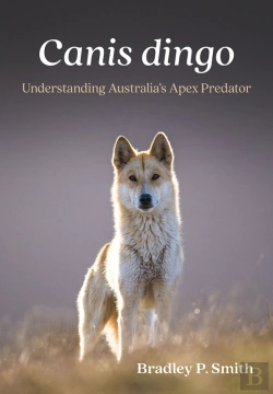 Bertrand.pt - Canis Dingo