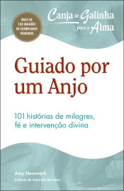 Canja de Galinha para a Alma: Guiado por um Anjo