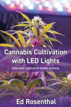 Bertrand.pt - Cannabis Cultivation With Led Lights