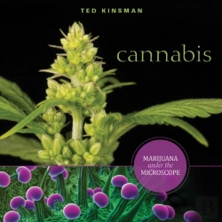 Bertrand.pt - Cannabis