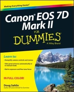 Bertrand.pt - Canon Eos 7d Mark Ii For Dummies