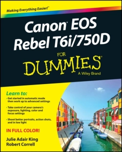 Bertrand.pt - Canon Eos Rebel T6i / 750d For Dummies