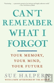 Can'T Remember What I Forgot