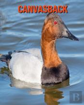 Canvasback