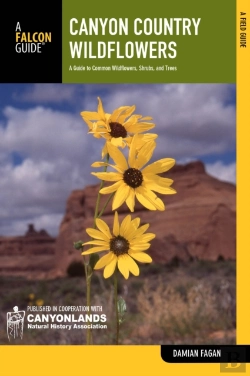 Bertrand.pt - Canyon Country Wildflowers