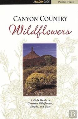 Bertrand.pt - Canyon Country Wildflowers