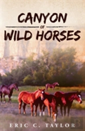 Canyon Of Wild Horses