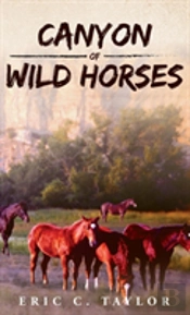 Canyon Of Wild Horses