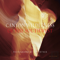 Canyon Wilderness Of The Southwest