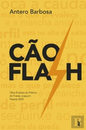 Cão Flash
