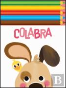 Cão