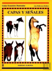 Capas Y Señales