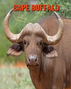 Bertrand.pt - Cape Buffalo