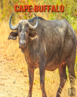 Bertrand.pt - Cape Buffalo