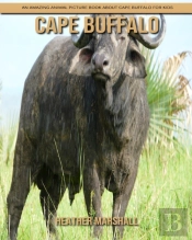 Cape Buffalo